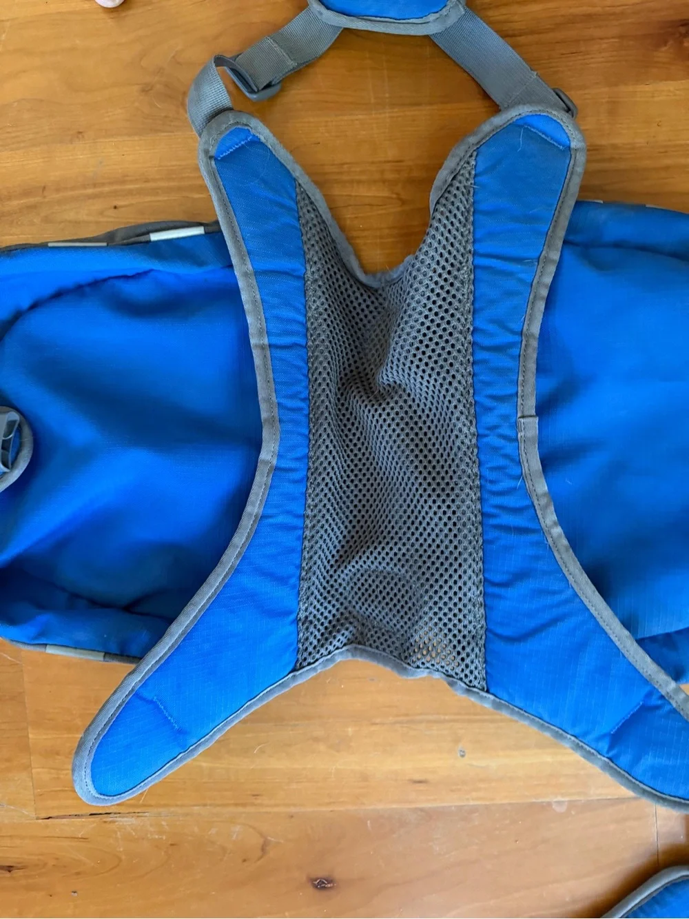 REI Blue Dog Saddlebag Backpack - Compact Travel Pack